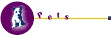 00600.gif (2526 bytes)