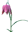 ag00001_.gif (4995 bytes)
